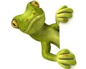 Gecko